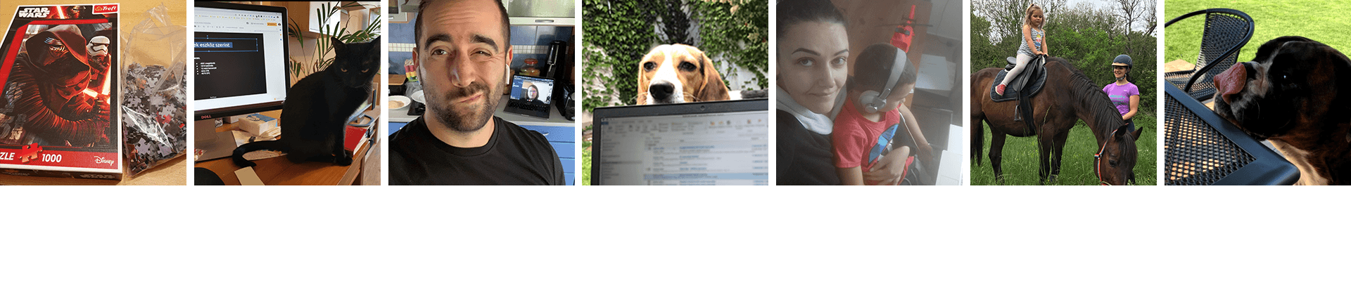 online közösség a YCO csapatában, mindennapok